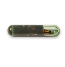 10X id48 glass transponder chips T6 ID48